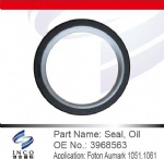 Seal, Oil 3968563