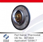 Thermostat 3973834