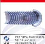 Main Bearing