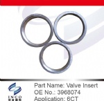 Valve Insert 3968074