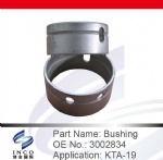 Bushing 3002834