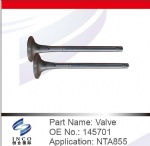 Valve 145701