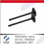 Valve 4995554