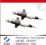 Fuel Injector 2830957