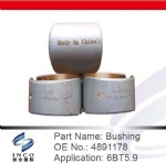 Bushing 4891178