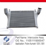 Intercooler Assy 1105111900047