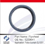 Flywheel 5259641